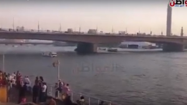 المواطن