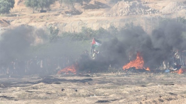 فلسطين