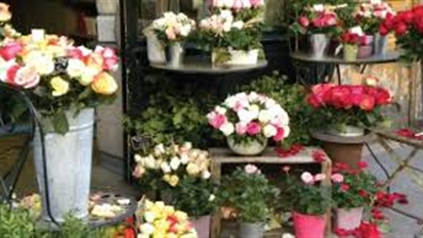 أسعار الورد
