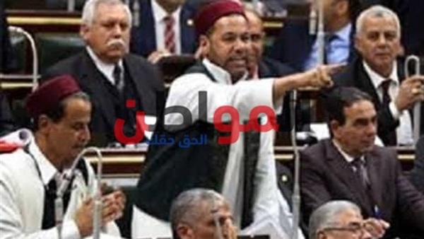 النائب سليمان فضل