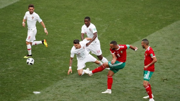 المواطن