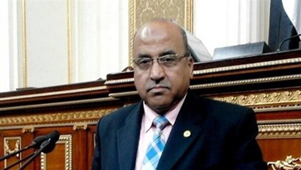 النائب عبد الرازق