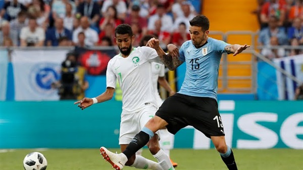 المواطن