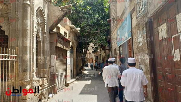 بوابة المواطن تتوغل