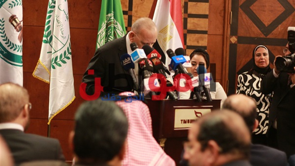 السفير محمد الربيع