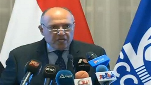 سامح شكري