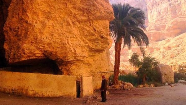 المواطن