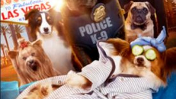 Show Dogs