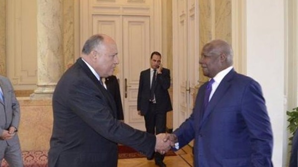 سامح شكري ونظيره