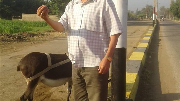 عبدالرحمن عامر