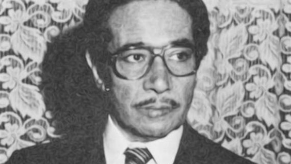 محمد الموجي