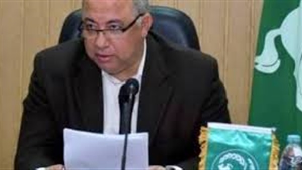 محافظ الشرقية