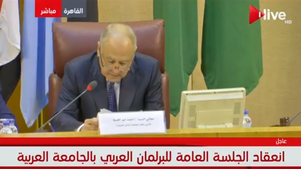 أحمد أبو الغيط الأمين