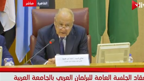 أحمد أبو الغيط الأمين