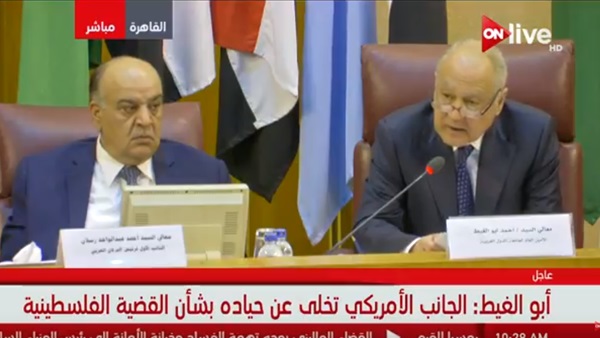 أحمد أبو الغيط الأمين