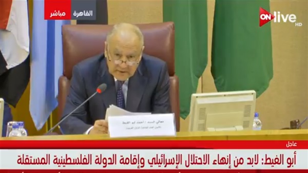 أحمد أبو الغيط الأمين