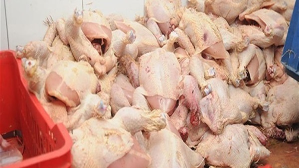 حملة بيطرية-فراخ
