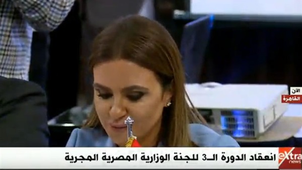 وزيرة الاستثمار سحر