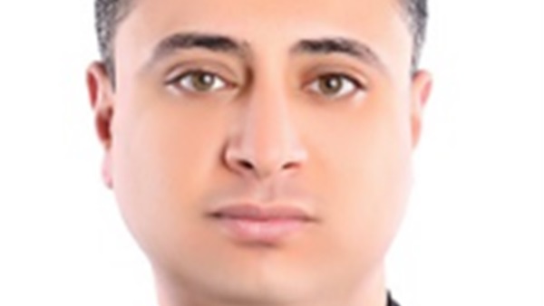 مايكل نجيب، خبير