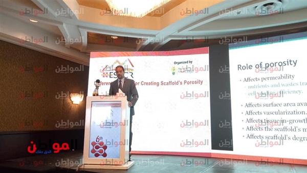 محمد عمار