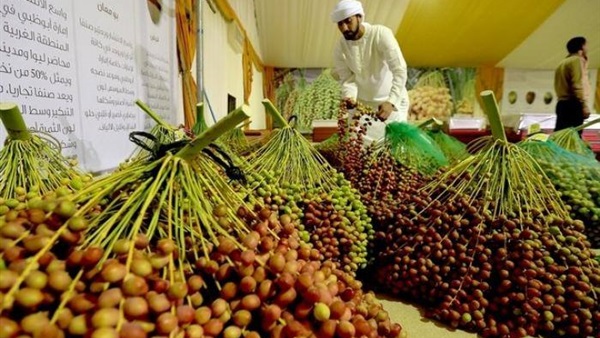 سعر البلح فى الأسواق