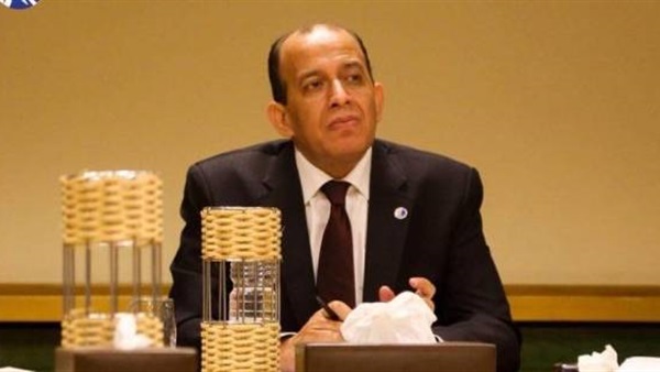 المستشار محمد عبد