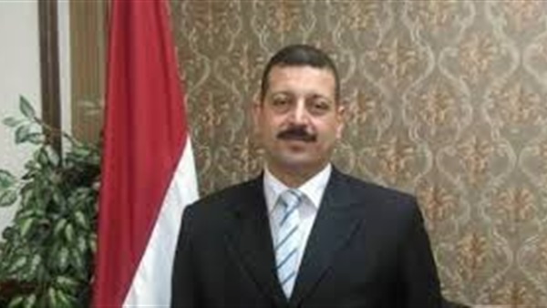 ايمن حمزة ، المتحدث