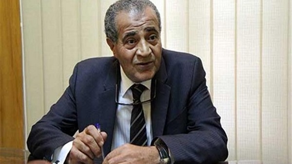 الدكتور على مصيلحى