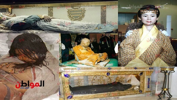 المواطن
