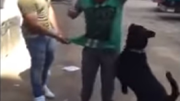 جزء من واقعة التعذيب