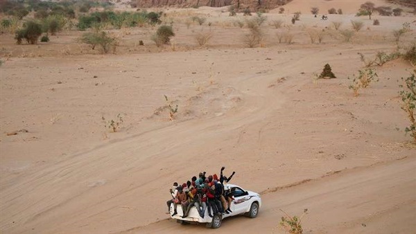 المواطن