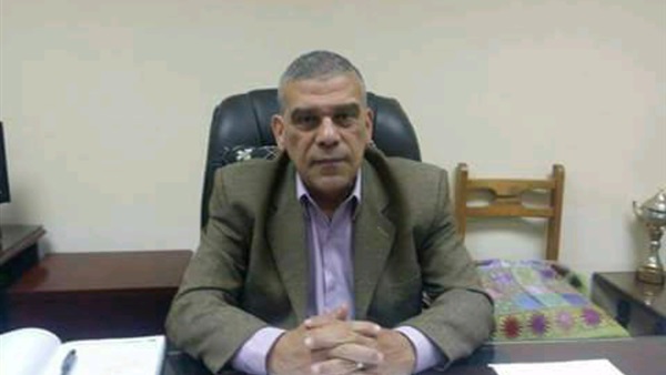 محمد إسماعيل وكيل