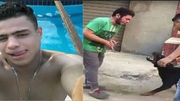 سيد سيكا