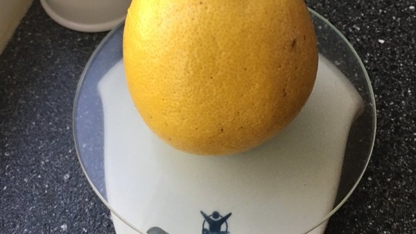 المواطن