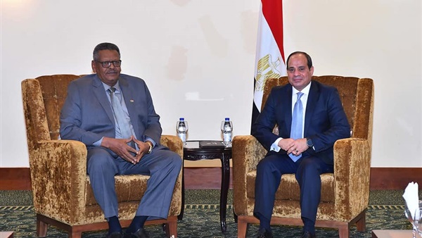 الرئيس السيسي ونائب