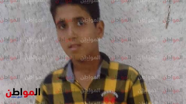 أحمد عبدالمنعم العناني