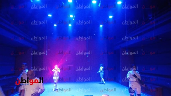 البيت الفنى للمسرح