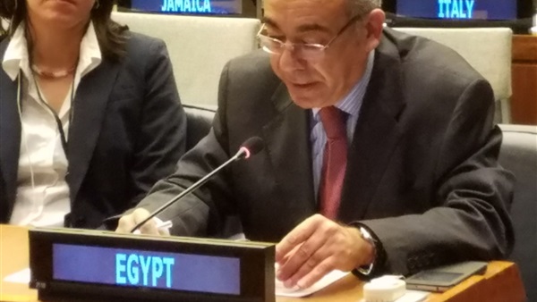مندوب مصر الدائم