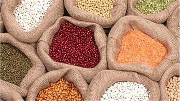 البقوليات اليوم