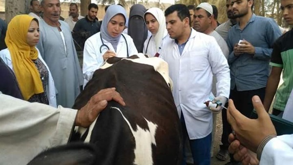 محافظة البحيرة-حملات