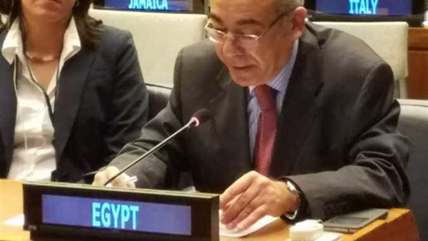 السفير محمد إدريس