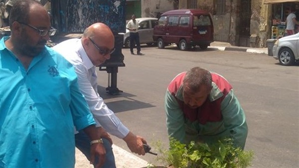 المواطن