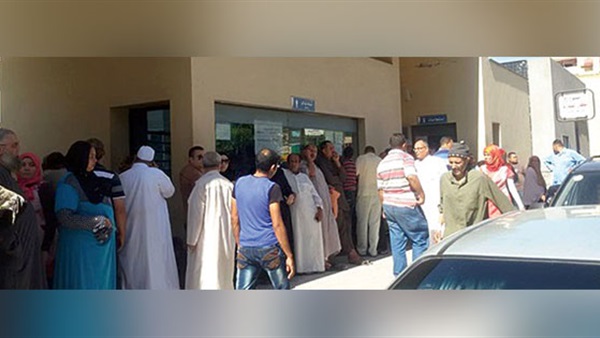 المواطن