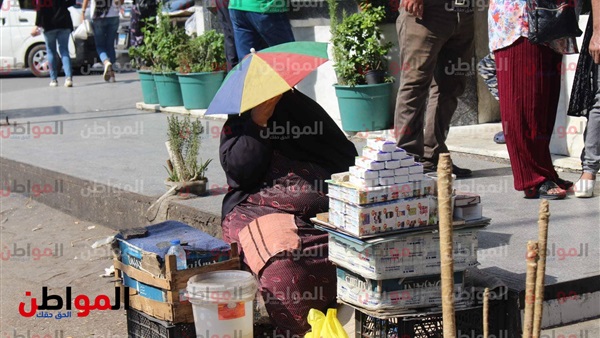 درجة الحرارة في مصر
