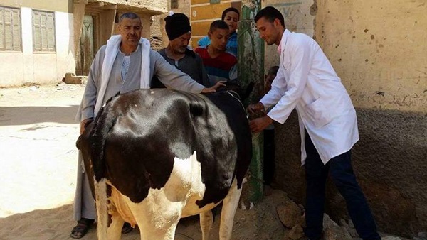 حملة بيطرية -الوادي