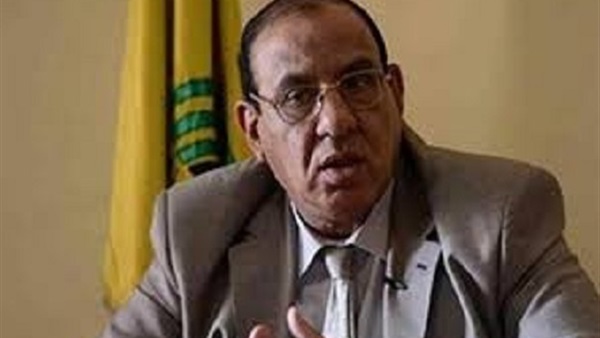 الدكتور طلعت عبد