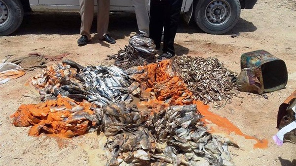 اسماك مملحة فاسدة-سوهاج