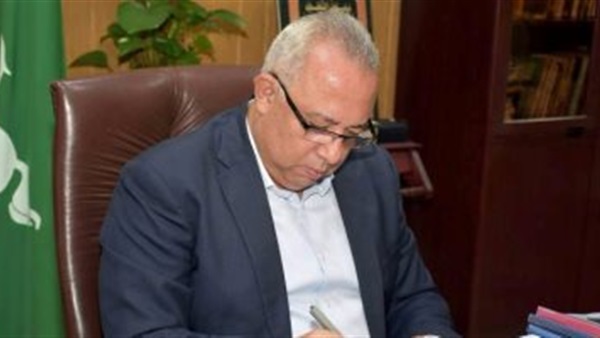 محافظ الشرقية