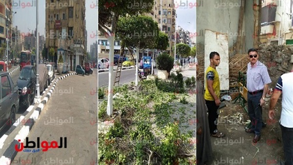 المواطن