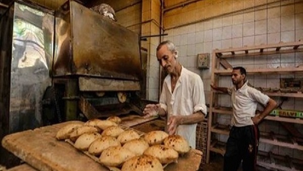 مخابز الوادى الجديد
